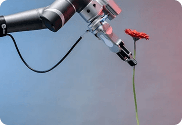 Humanizing AI Support: Empathy and Personalization with Agents